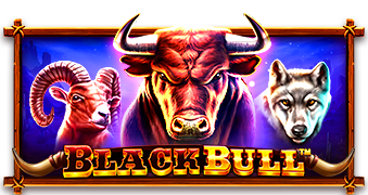 Black Bull